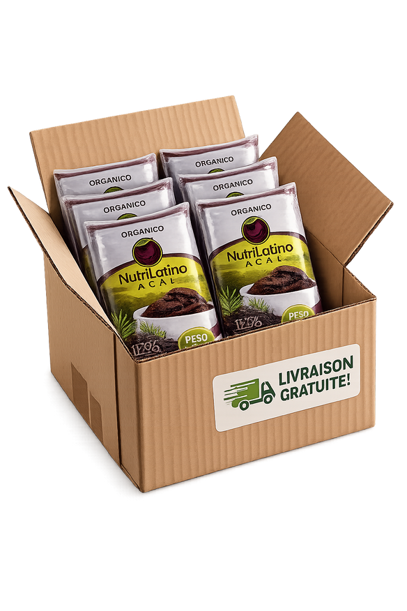 Carton Açaí 12% Medio 16 kg – Wassaï pur en gros à 13,75 €/kg (livraison offerte)
