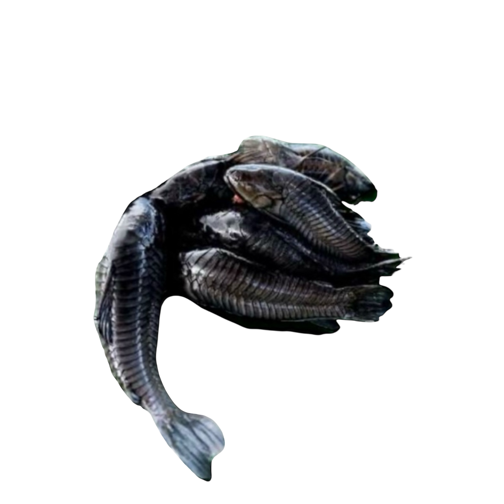 POISSON TAMATA/ ATIPA  1KG